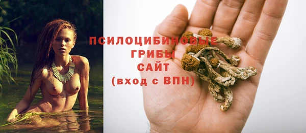 бутират Алзамай