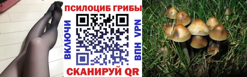 Галлюциногенные грибы MAGIC MUSHROOMS Зуевка